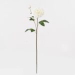 Dahlia 13 × 13 × 81 cm - Wit
